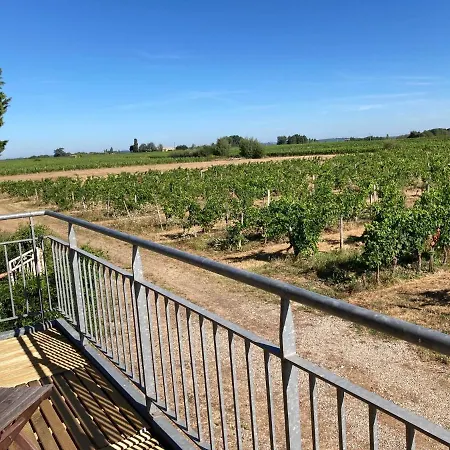 Gites Le Mathelin Lamothe-Montravel Exterior foto